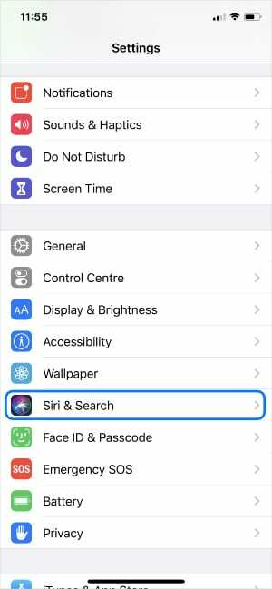 सिरी और सीच iPhone सेटिंग्स