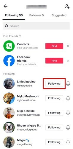 Lista de cuentas que sigues en TikTok