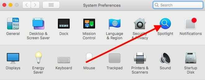 Το SpotLight Search δεν λειτουργεί, πώς να το διορθώσετε