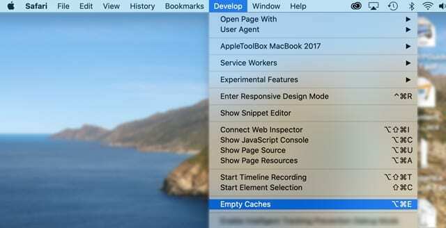Mac Safari boş önbellek