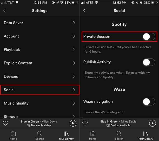 Spotify iOS - निजी सत्र