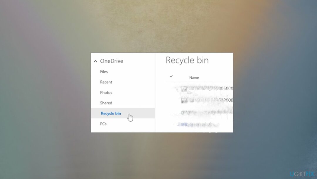 Recyle Bin på hjemmesiden