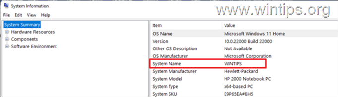 System Information