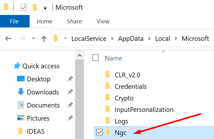 ngc map windows 10