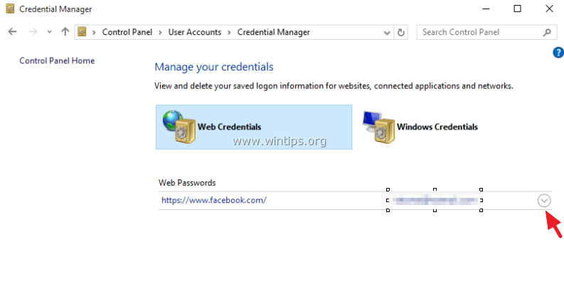 Internet Explorer prikaži geslo