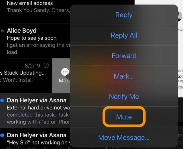 Mail 앱 iPadOS에서 이메일 스레드 음소거