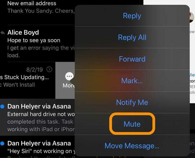 disattivare un thread di posta elettronica nell'app Mail iPadOS