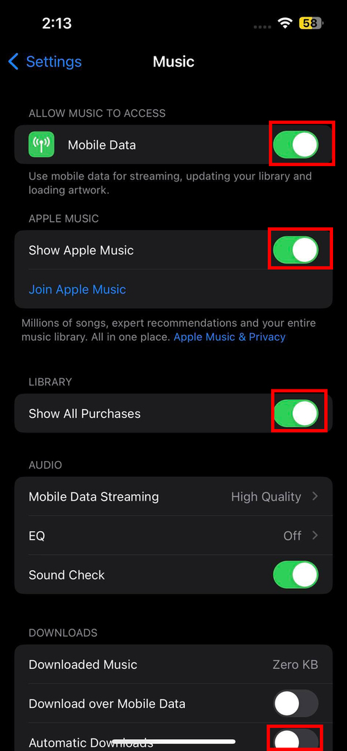 Apple mūzikas iestatījumu lapa iPhone tālrunī