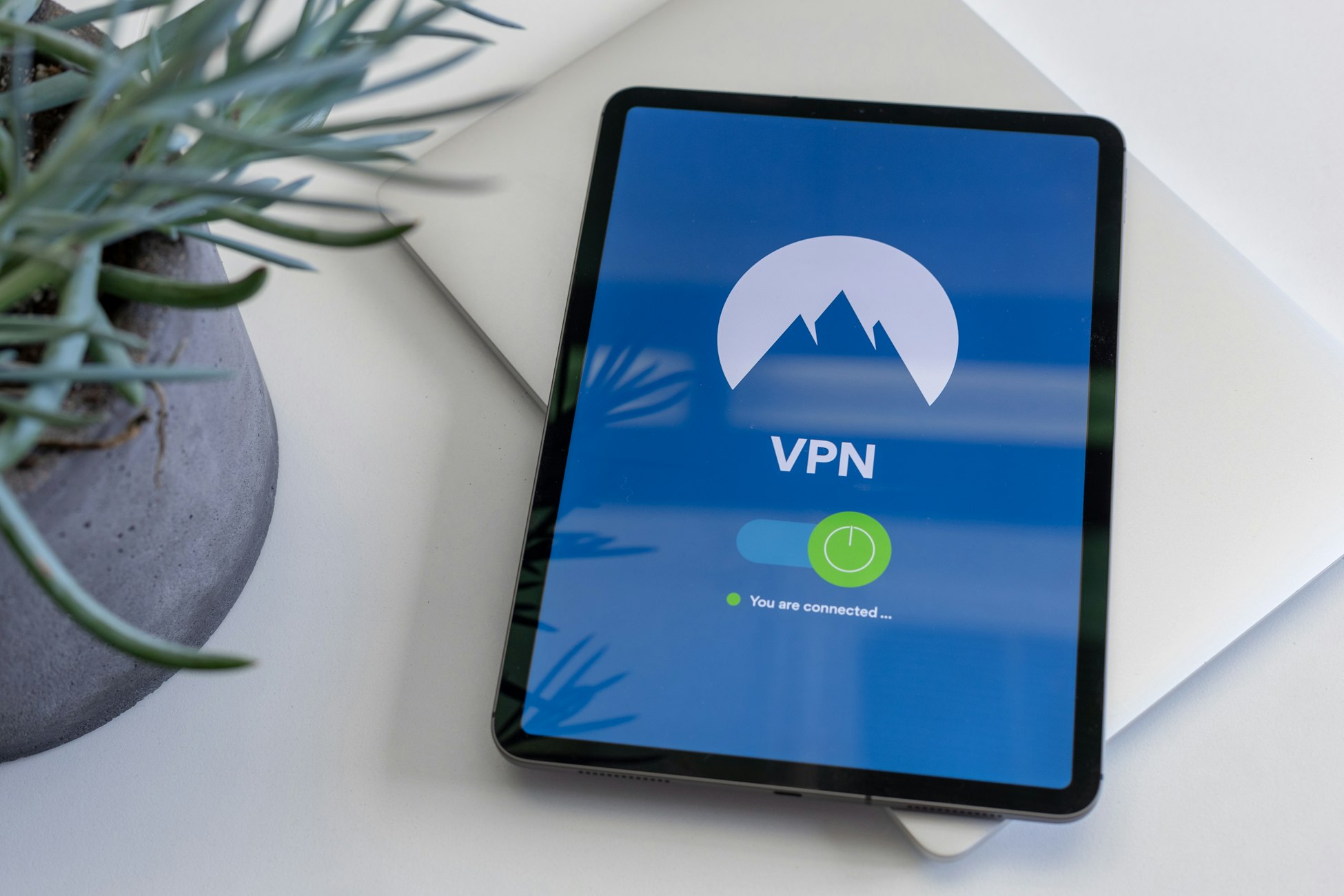 노드 VPN
