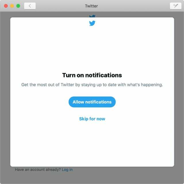 Finestra Consenti notifiche in Twitter per Mac