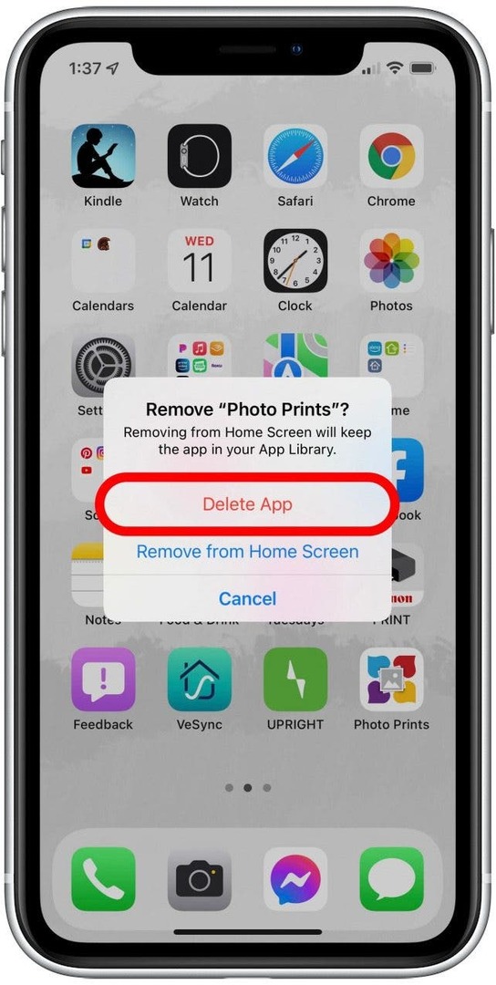 Entfernen Sie die gefälschte App iPhone 3