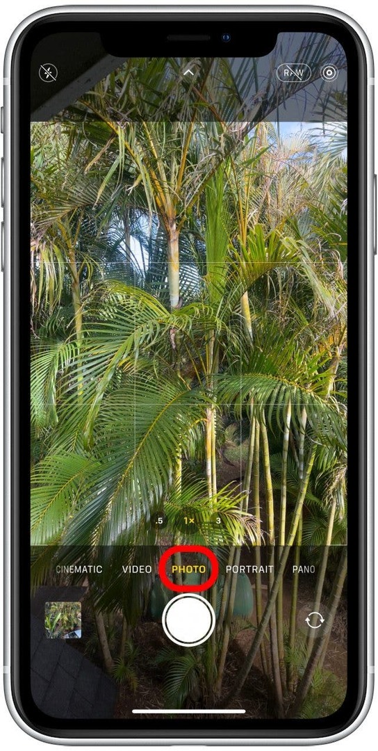 Siri akan membuka aplikasi Kamera di iPhone Anda dalam mode foto di kamera belakang Anda. 