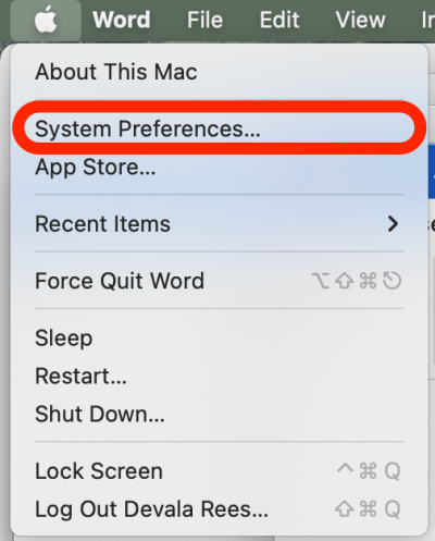 Fare clic su Preferenze di Sistema per trovare il cambio del cursore del mouse. 