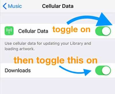 iPhone iOS Mobilfunkdaten und Downloads für Musik