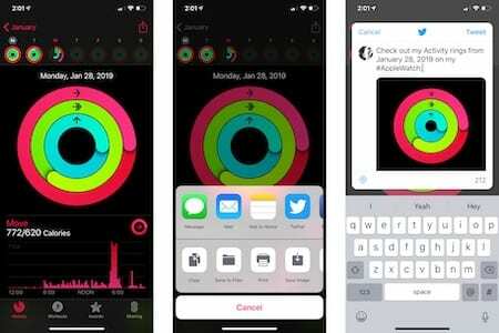 Ossza meg az Apple Watch adatait a Twitteren