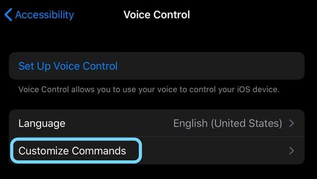 como personalizar comandos de controle de voz no iOS13 e iPadOS