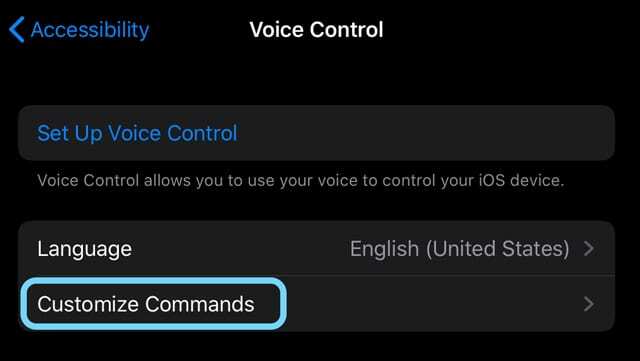 comment personnaliser les commandes de contrôle vocal dans iOS13 et iPadOS