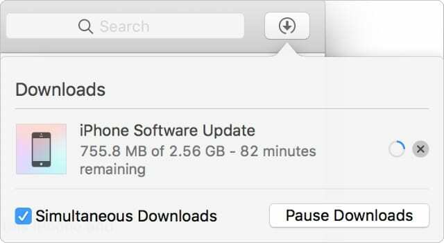 iPhone-software-update downloaden in iTunes