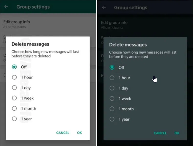 Messaggi di autodistruzione di WhatsApp