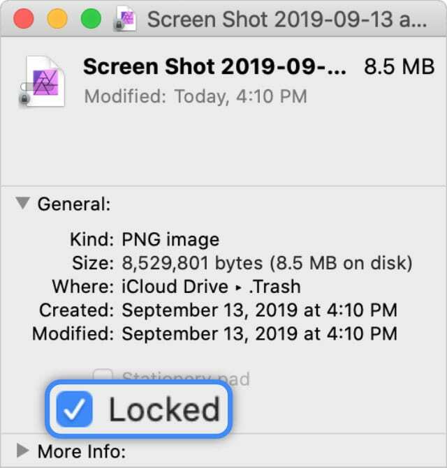 Potvrdni okvir zaključane datoteke u prozoru Get Info from Finder