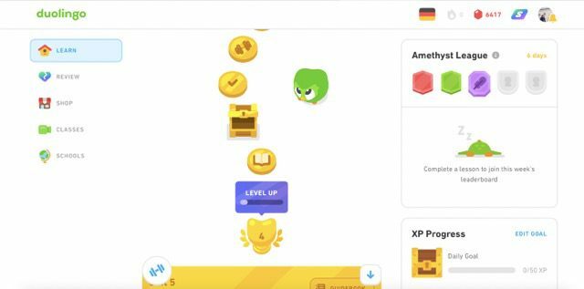 skærmbillede, der viser duolingo på en mac