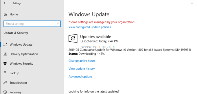 FIX: Windows 10 Update 1903 konnte nicht installiert werden