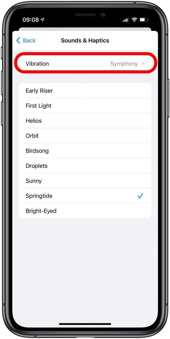 Bakstelėkite Vibracija. Čia galite pasirinkti mėgstamą haptišką melodiją arba net sukurti pasirinktinę. 