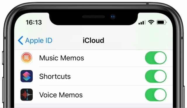 Опция голосовых заметок в опциях iCloud на iPhone