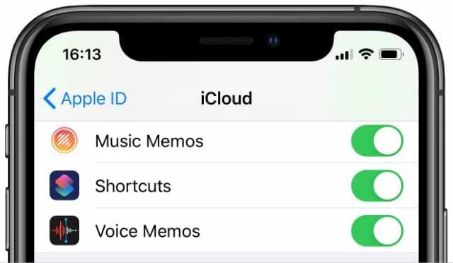 Možnost Hlasové poznámky v možnostech iCloud na iPhone