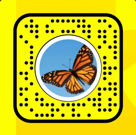 Umístěte fotoaparát tak, aby směřoval na Snapcode