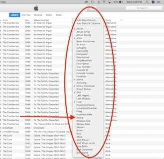 Beoordelingsoptie in categorieblok in iTunes.