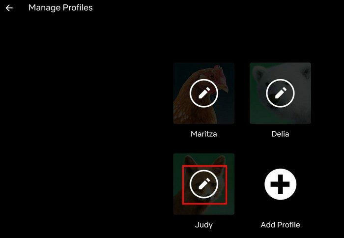 Slet Netflix-profil