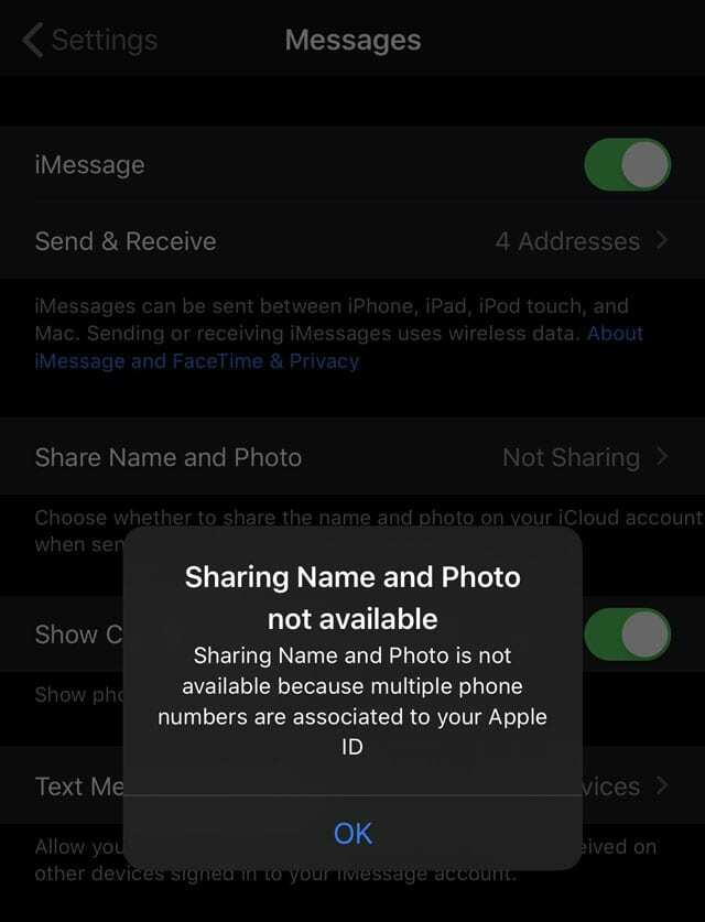 delning av namn och foto är inte tillgängliga på iPhone meddelandeappinställningar iOS 13 och iPadOS