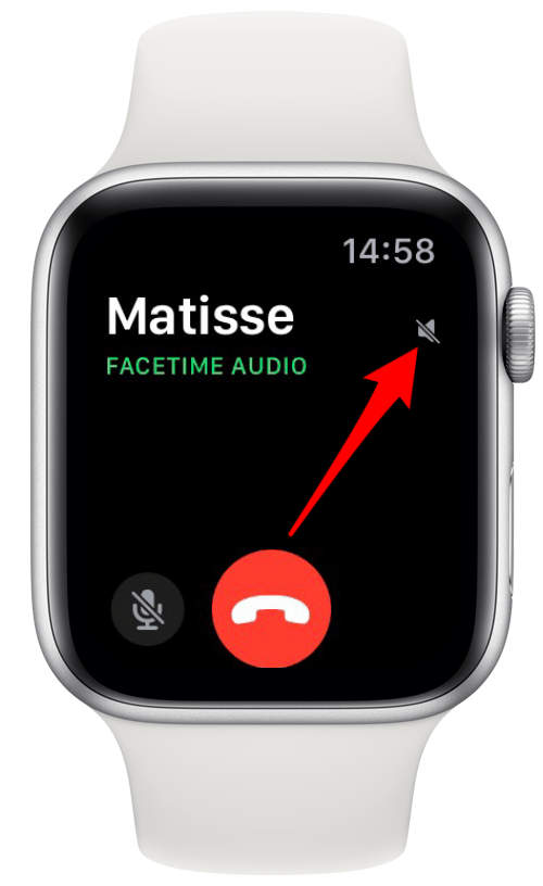 Contrôlez le volume de l'audio FaceTime à l'aide de la couronne numérique.