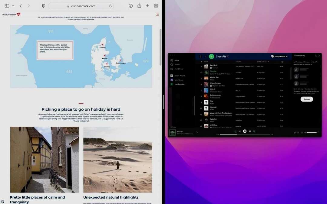 Screenshot mit den Split-Screen-Optionen auf dem Mac