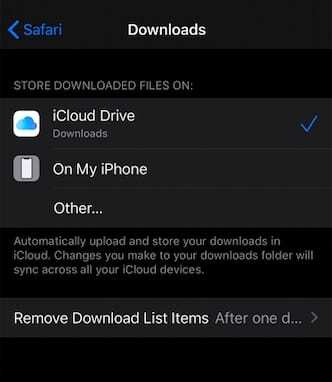 Due opzioni principali in Safari Download manager su iPhone