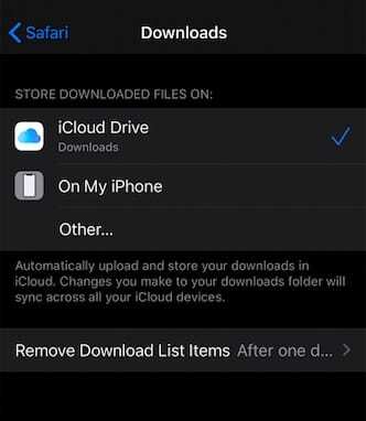 خياران رئيسيان في Safari Download manager على iPhone