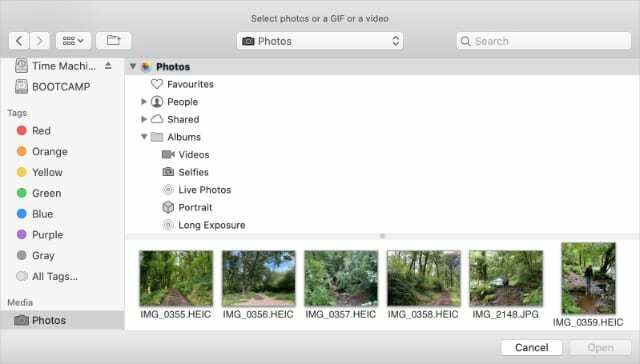 Okno pro nahrávání fotografií na Twitteru pro Mac zobrazující soubory HEIC