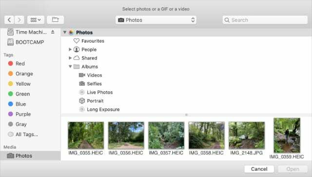 Okno za nalaganje fotografij v Twitter za Mac, ki prikazuje datoteke HEIC