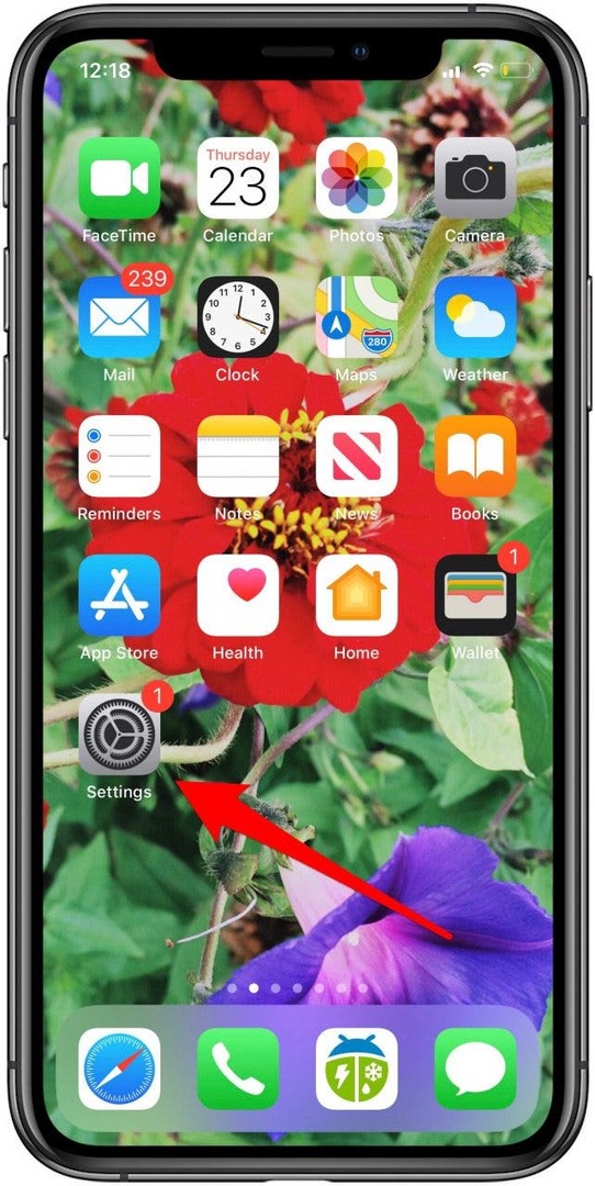 App für iPhone-Einstellungen