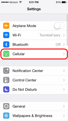 iOS7 셀룰러 옵션