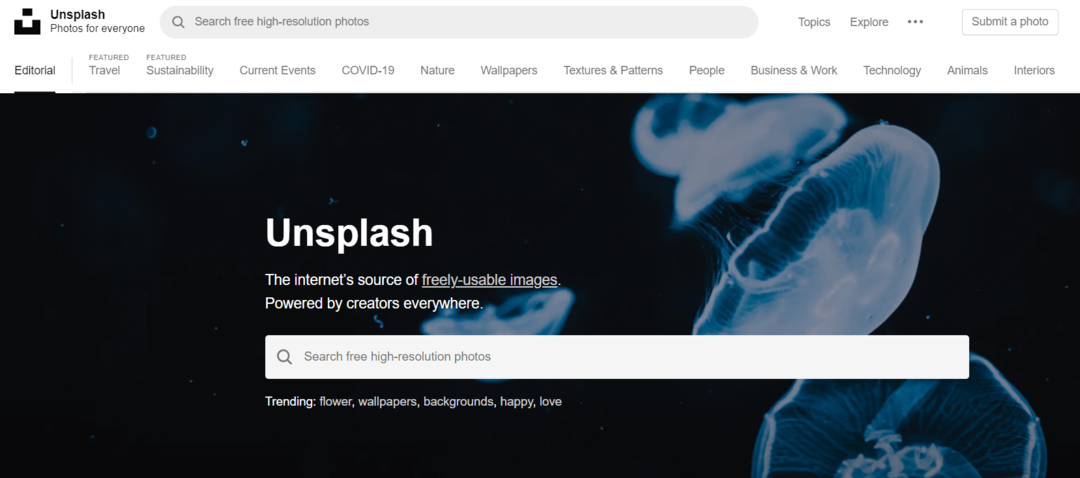 Unsplash - Sito Web di foto d'archivio