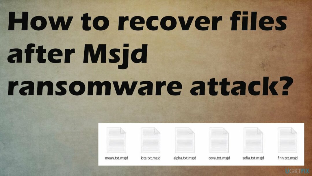 Msjd 랜섬웨어 공격 후 파일을 복구하는 방법은 무엇입니까?