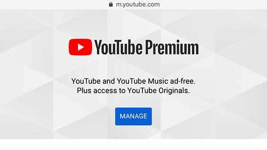 Conseils YouTube – Premium