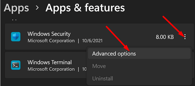 Windows-Sicherheit-erweiterte-Optionen
