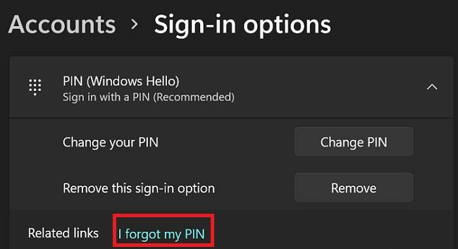 opções de login do windows 11