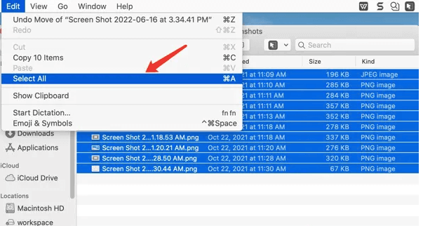 pilih semua file di mac