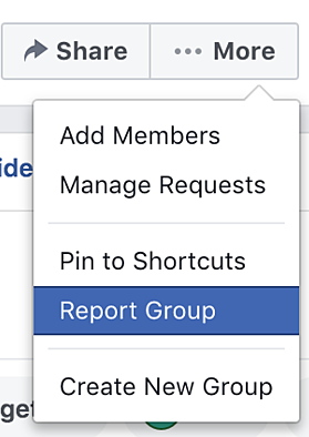Facebook ataskaitų grupės langas