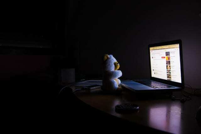 Ursul în fața ecranului luminos al laptopului