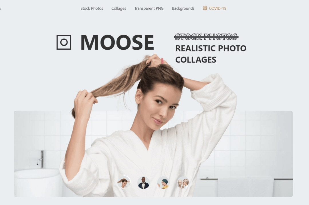Moose - Nejlepší webové stránky pro fotografie 